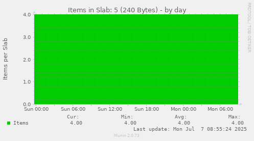 Items in Slab: 5 (240 Bytes)